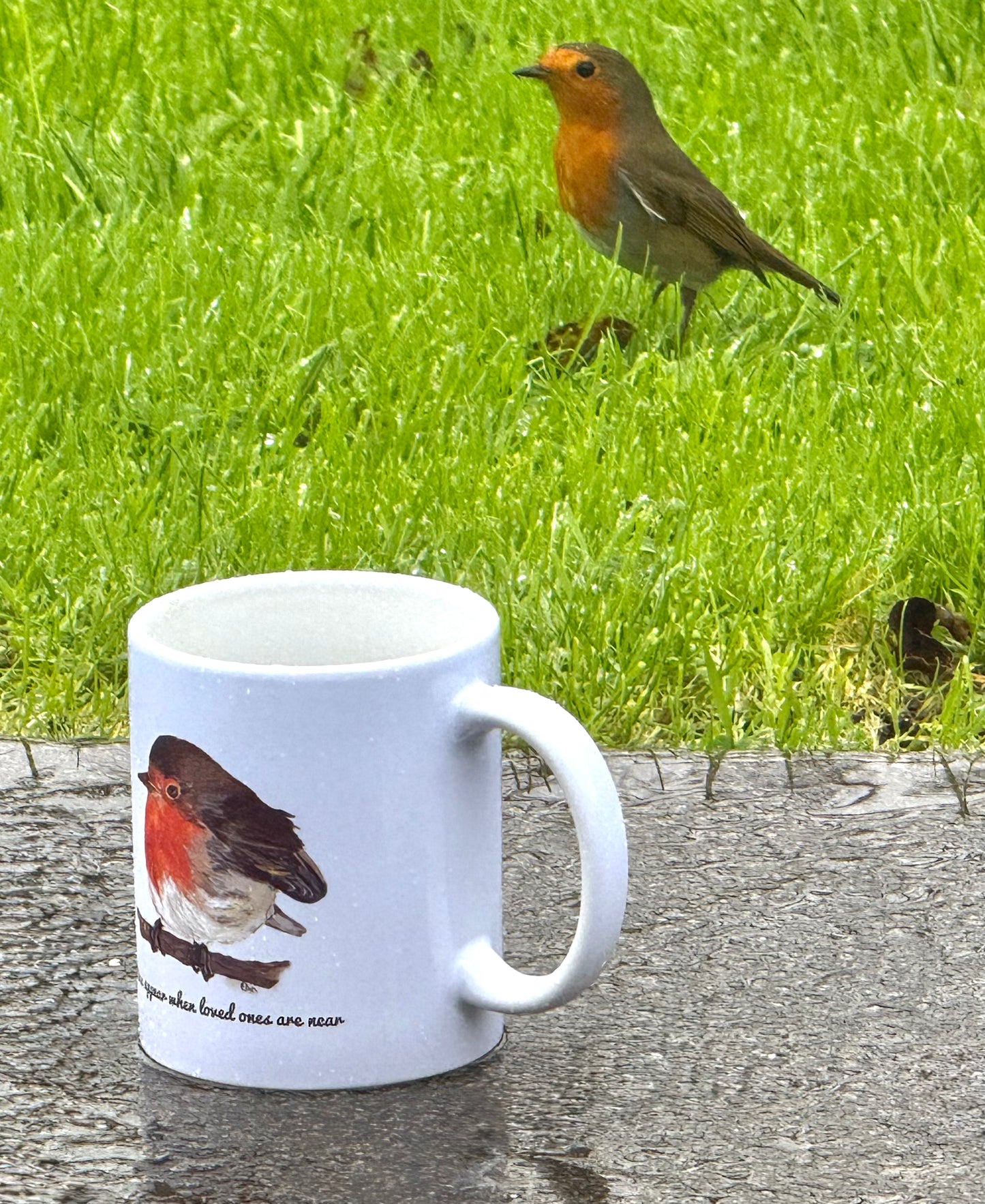 Robin Printed Mug