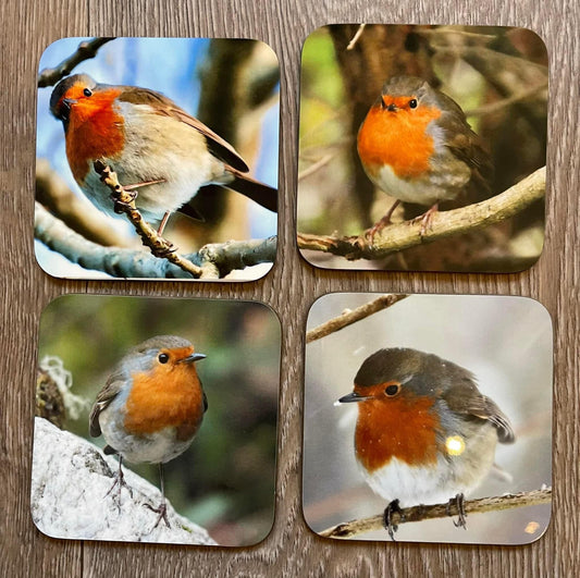 Coasters - Robins