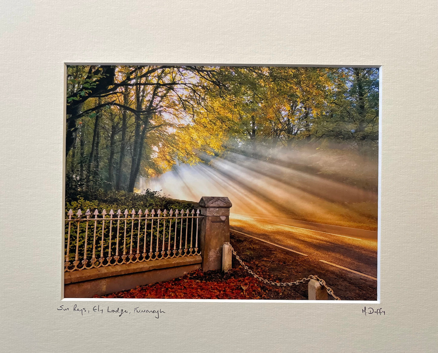 Sun Rays, Ely Lodge- Photograph