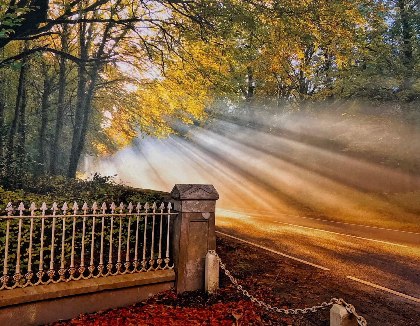 Sun Rays, Ely Lodge- Photograph